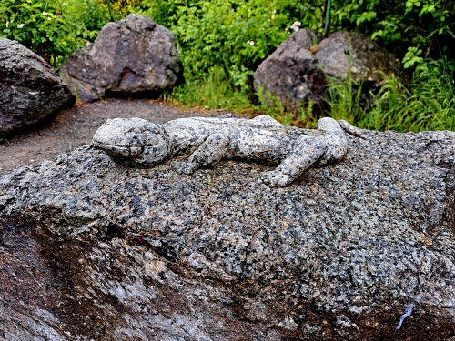 2024 05 24 Wanderung 5