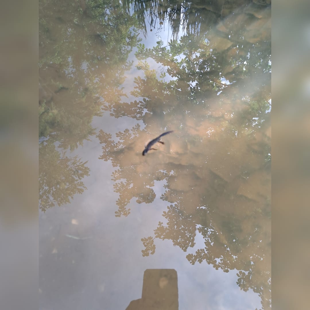 2024 06 06 Feierabendwanderung 3