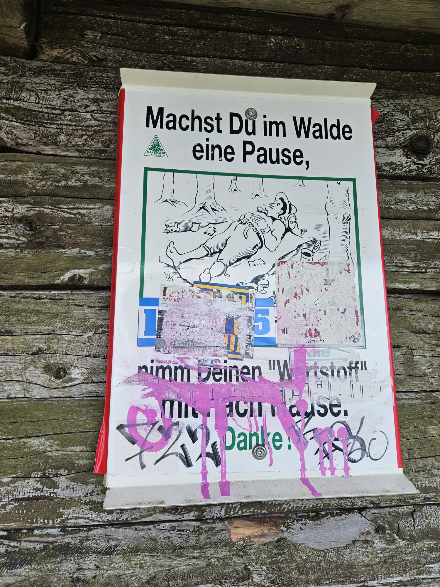 2024 06 16 Waldtrolle 4