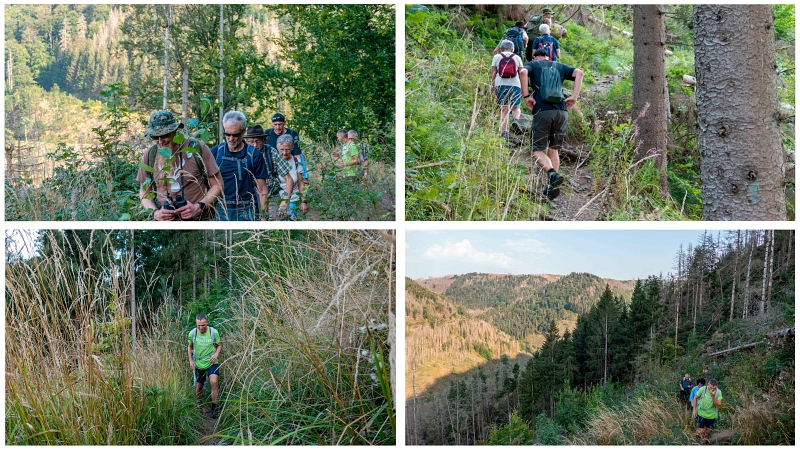 2024 09 05 2345 Ahrendsberger Klippe