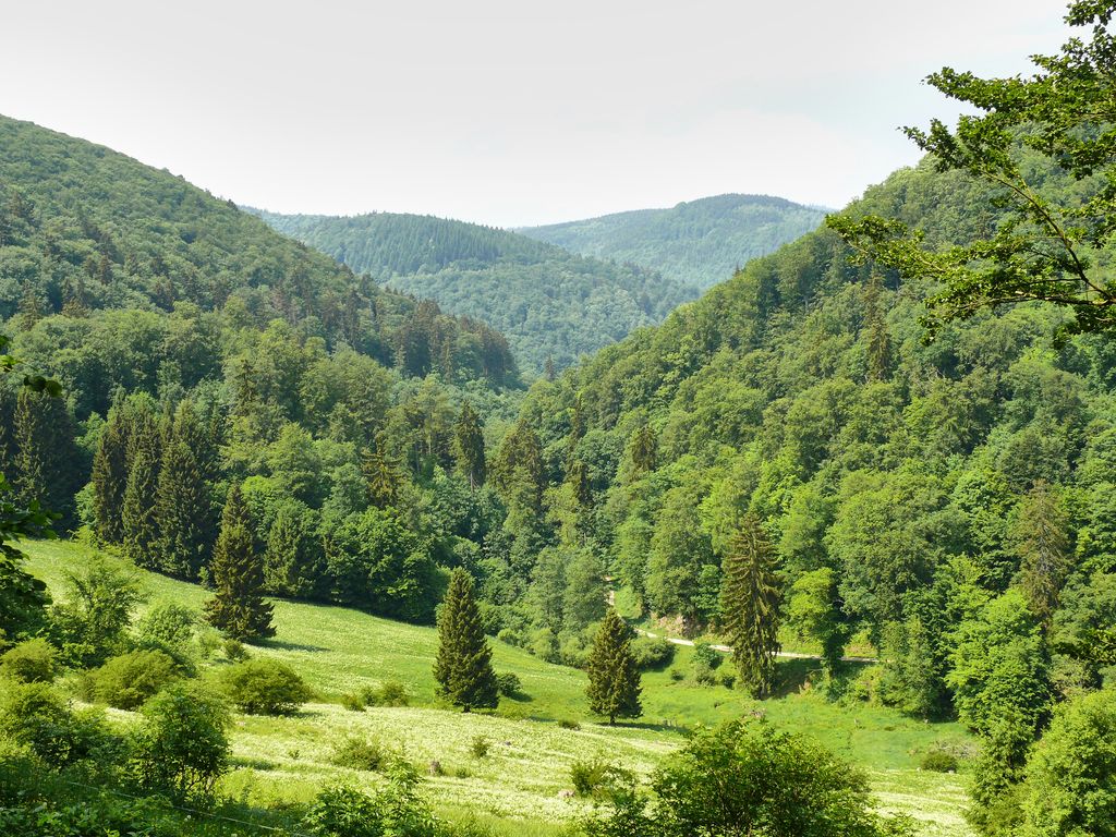 Grenzweg Etappe2 P1030900 1