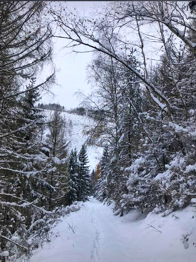 IMG 20231201 WA0014 1