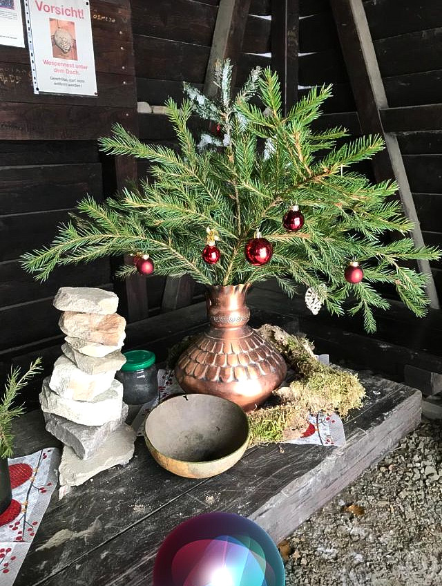 IMG 20231201 WA0015 1