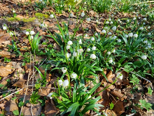 2023 03 18 Anwandern 8