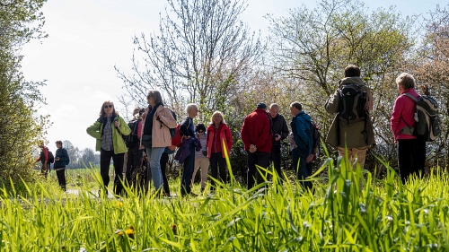 2023 04 23 Frühling im Harly 03