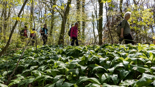 2023 04 23 Frühling im Harly 09