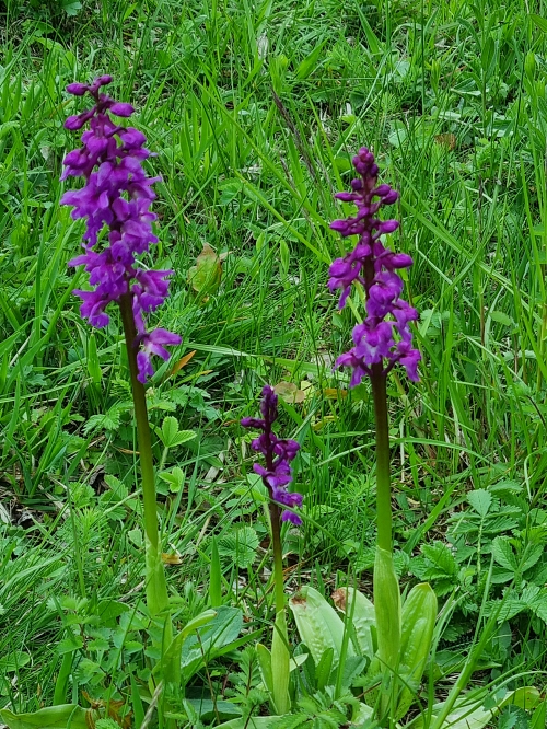 2023 05 07 Wanderung 10